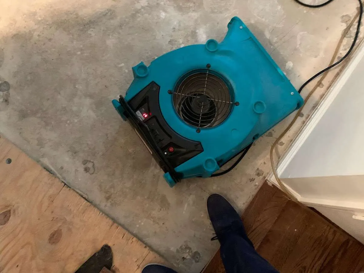 Air mover drying subfloor during Commercial Water Damage Restoration in Seaford